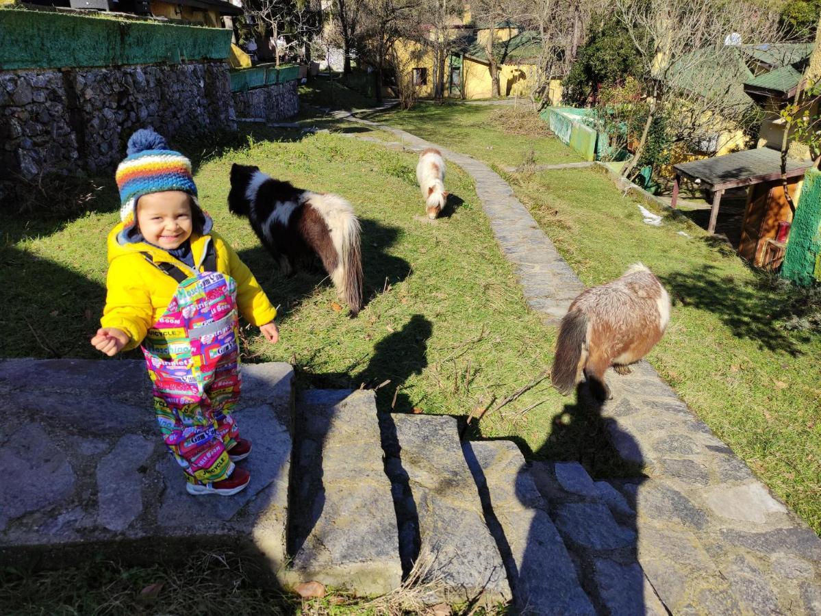 Polonezkoey Country Club & Accommodation In The Wildlife Park! Istanbul Luaran gambar