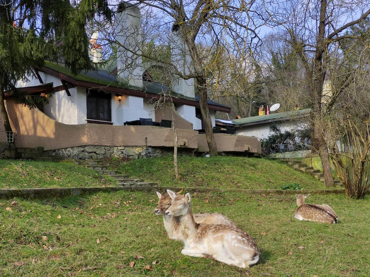 Polonezkoey Country Club & Accommodation In The Wildlife Park! Istanbul Luaran gambar