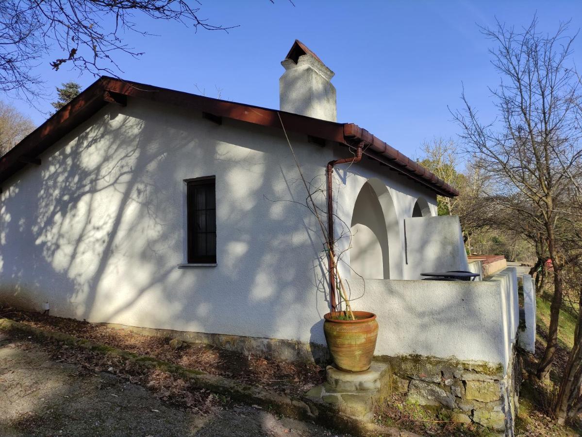 Polonezkoey Country Club & Accommodation In The Wildlife Park! Istanbul Luaran gambar