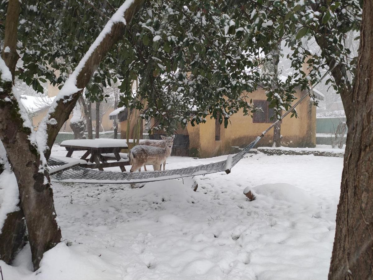 Polonezkoey Country Club & Accommodation In The Wildlife Park! Istanbul Luaran gambar