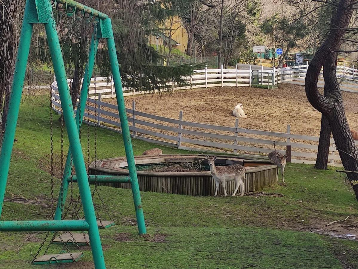 Polonezkoey Country Club & Accommodation In The Wildlife Park! Istanbul Luaran gambar