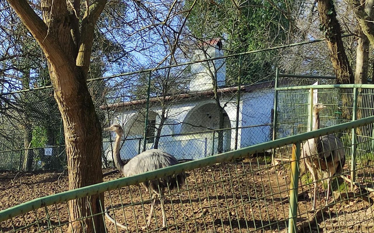Polonezkoey Country Club & Accommodation In The Wildlife Park! Istanbul Luaran gambar