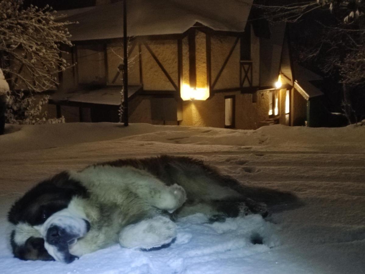 Polonezkoey Country Club & Accommodation In The Wildlife Park! Istanbul Luaran gambar