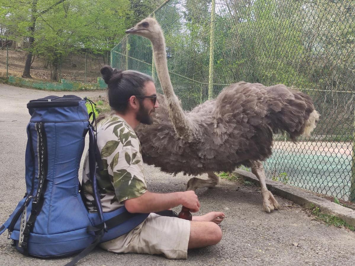 Polonezkoey Country Club & Accommodation In The Wildlife Park! Istanbul Luaran gambar