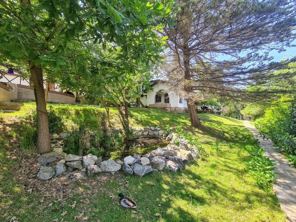 Polonezkoey Country Club & Accommodation In The Wildlife Park! Istanbul Luaran gambar