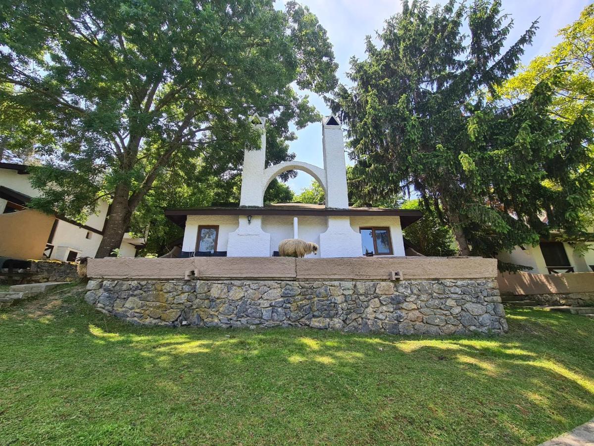 Polonezkoey Country Club & Accommodation In The Wildlife Park! Istanbul Luaran gambar