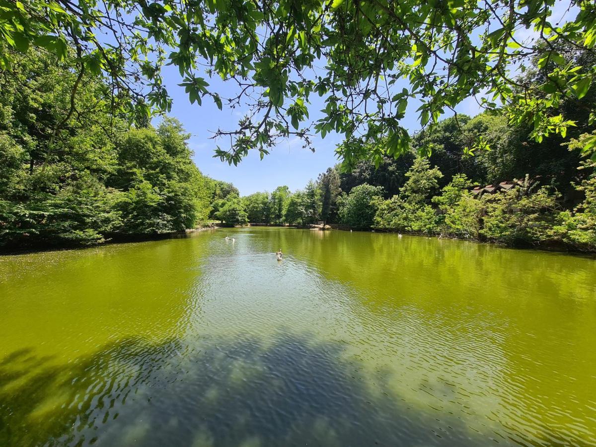 Polonezkoey Country Club & Accommodation In The Wildlife Park! Istanbul Luaran gambar