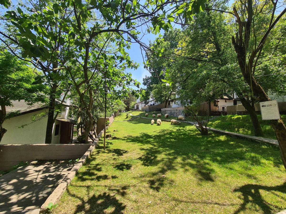 Polonezkoey Country Club & Accommodation In The Wildlife Park! Istanbul Luaran gambar