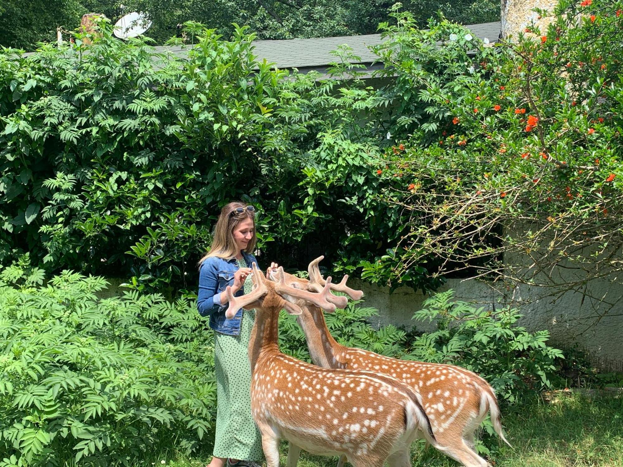 Polonezkoey Country Club & Accommodation In The Wildlife Park! Istanbul Luaran gambar