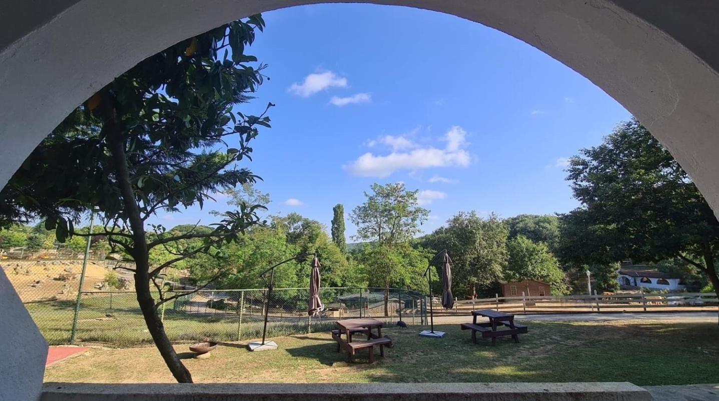 Polonezkoey Country Club & Accommodation In The Wildlife Park! Istanbul Luaran gambar