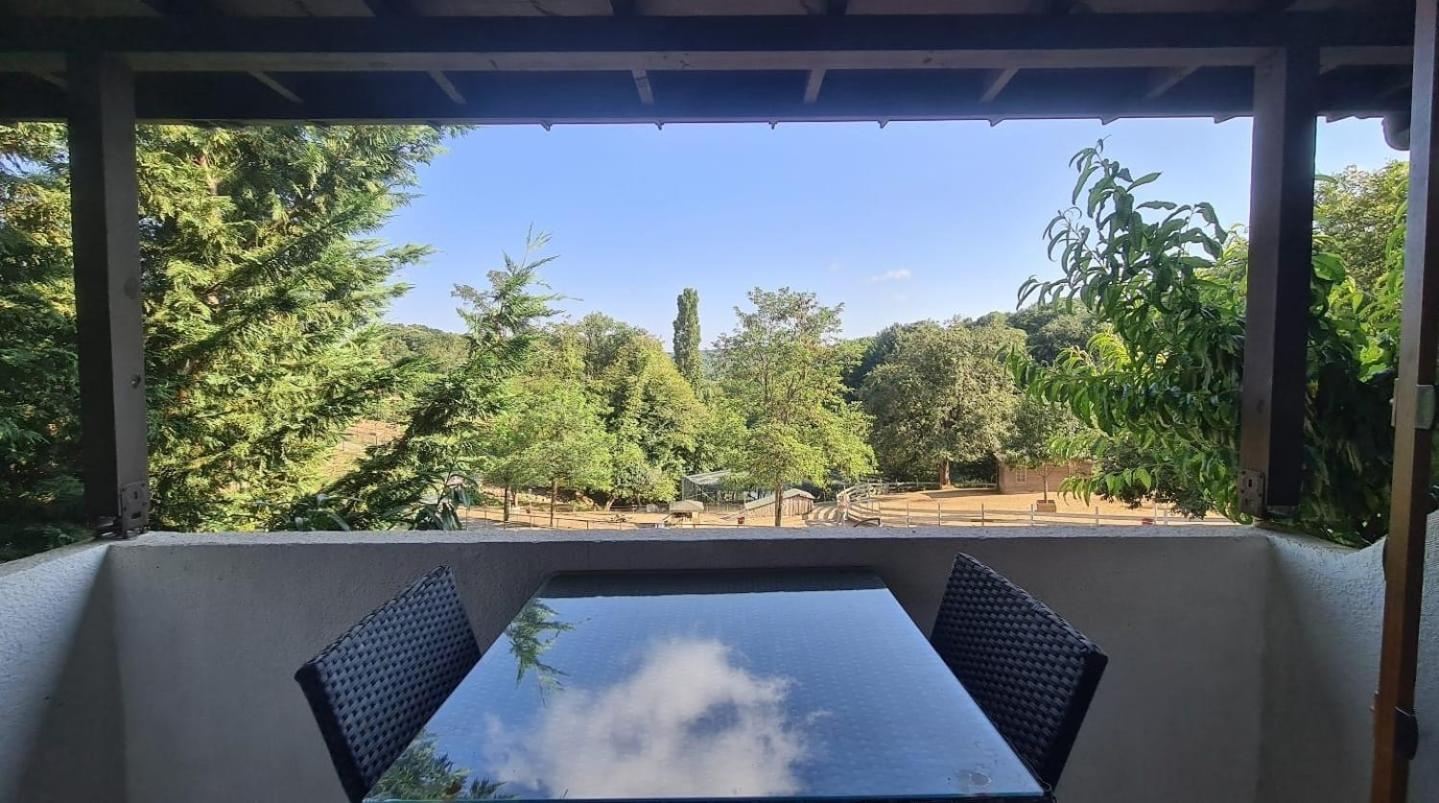 Polonezkoey Country Club & Accommodation In The Wildlife Park! Istanbul Luaran gambar