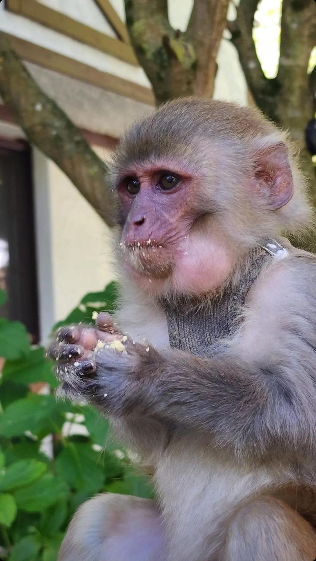 Polonezkoey Country Club & Accommodation In The Wildlife Park! Istanbul Luaran gambar