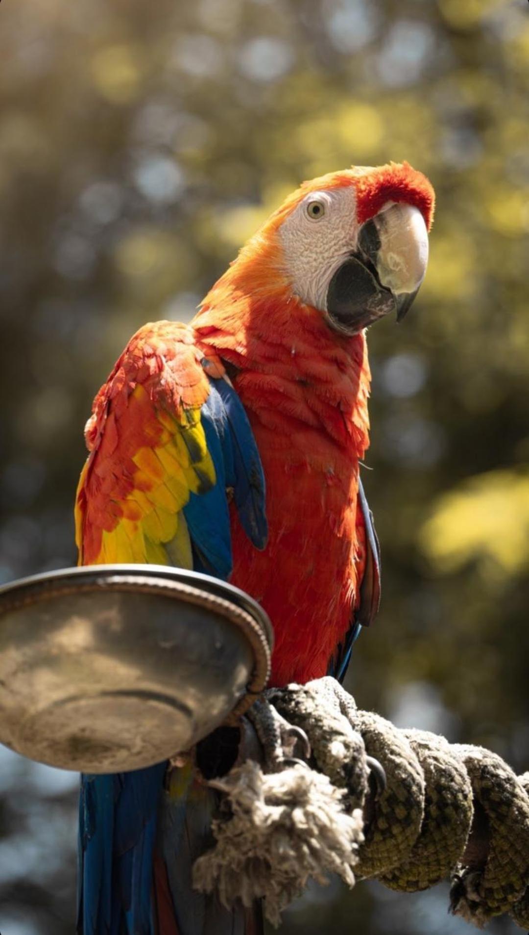 Polonezkoey Country Club & Accommodation In The Wildlife Park! Istanbul Luaran gambar
